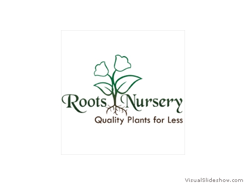 roots